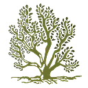 Saltbush Social Enterprises Limited